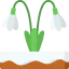 Snowdrop icon 64x64
