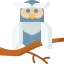 Owl icon 64x64