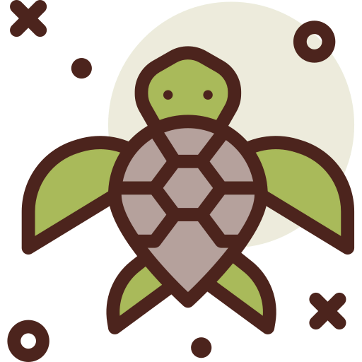 Turtle icon