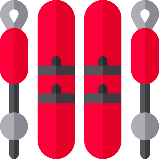 Ski icon