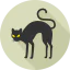 Black cat biểu tượng 64x64