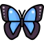 Butterfly icon 64x64