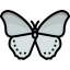 Butterfly icon 64x64