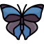 Butterfly icon 64x64