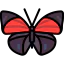 Butterfly icon 64x64