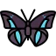 Butterfly icon 64x64