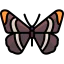 Butterfly icon 64x64