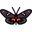 Butterfly icon 64x64