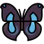 Butterfly icon 64x64