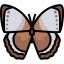 Butterfly icon 64x64