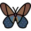 Butterfly icon 64x64