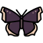Butterfly icon 64x64