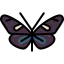 Butterfly icon 64x64