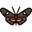Butterfly icon 64x64
