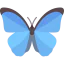 Butterfly icon 64x64