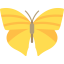 Butterfly icon 64x64