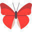 Butterfly icon 64x64