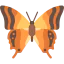 Butterfly icon 64x64