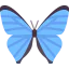 Butterfly icon 64x64