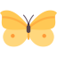 Butterfly icon 64x64
