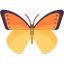 Butterfly icon 64x64