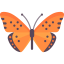 Butterfly icon 64x64