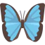 Butterfly icon 64x64