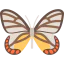 Butterfly icon 64x64