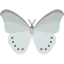 Butterfly icon 64x64