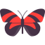 Butterfly icon 64x64