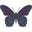 Butterfly icon 64x64