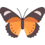 Butterfly icon 64x64
