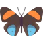 Butterfly icon 64x64