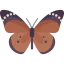 Butterfly icon 64x64