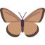 Butterfly icon 64x64
