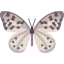 Butterfly icon 64x64