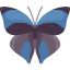 Butterfly icon 64x64