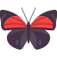 Butterfly icon 64x64