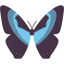 Butterfly icon 64x64