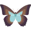Butterfly icon 64x64