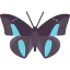 Butterfly icon 64x64