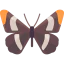 Butterfly icon 64x64