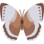 Butterfly icon 64x64