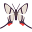 Butterfly icon 64x64