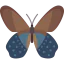 Butterfly icon 64x64