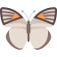 Butterfly icon 64x64