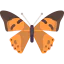 Butterfly icon 64x64
