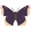 Butterfly icon 64x64