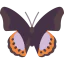 Butterfly icon 64x64