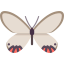 Butterfly icon 64x64
